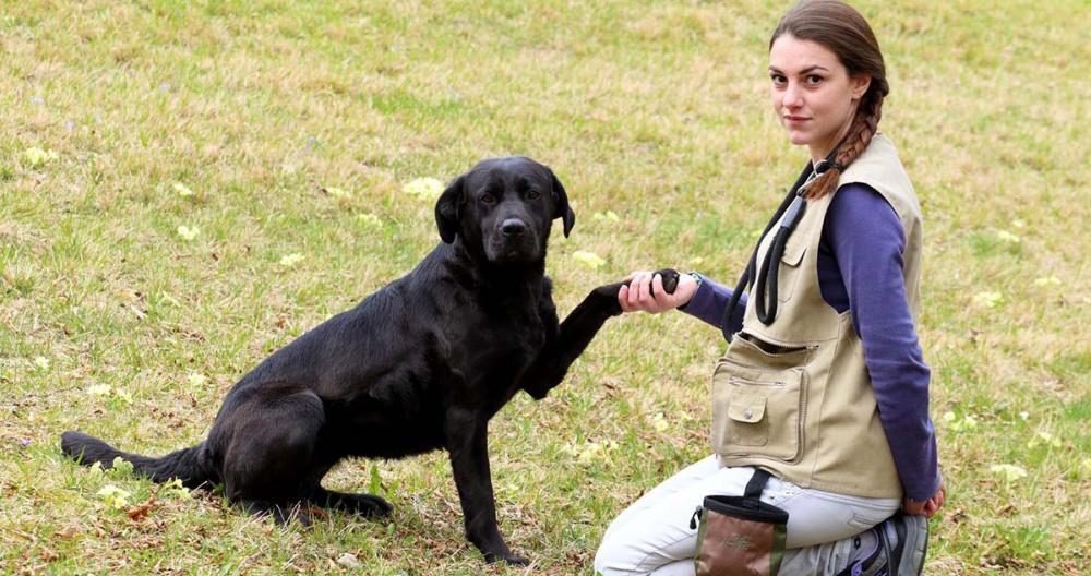 Educazione cani